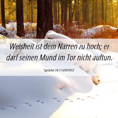 Picture 06 - Sprüche 24:7 LUTH1912 - Weisheit ist dem Narren zu hoch; er darf seinen - Bible Verse Picture