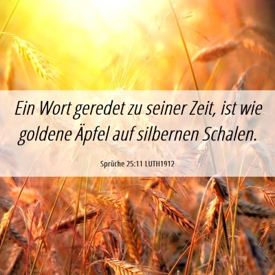 Picture 06 - Sprüche 25:11 LUTH1912 - Ein Wort geredet zu seiner Zeit, ist wie goldene - Bible Verse Picture