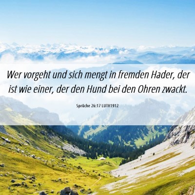 Picture 06 - Sprüche 26:17 LUTH1912 - Wer vorgeht und sich mengt in fremden Hader, der - Bible Verse Picture