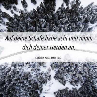 Picture 06 - Sprüche 27:23 LUTH1912 - Auf deine Schafe habe acht und nimm dich deiner - Bible Verse Picture