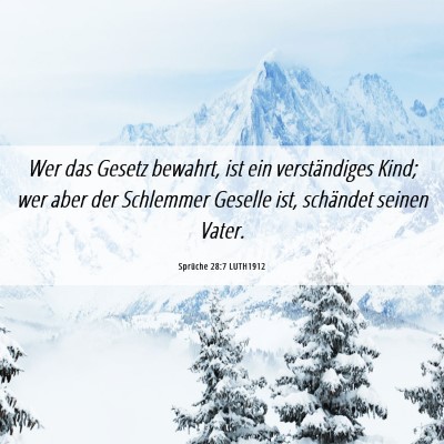 Picture 06 - Sprüche 28:7 LUTH1912 - Wer das Gesetz bewahrt, ist ein verständiges - Bible Verse Picture