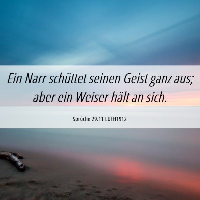 Picture 06 - Sprüche 29:11 LUTH1912 - Ein Narr schüttet seinen Geist ganz aus; aber - Bible Verse Picture