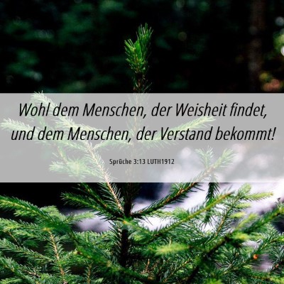 Picture 06 - Sprüche 3:13 LUTH1912 - Wohl dem Menschen, der Weisheit findet, und dem - Bible Verse Picture