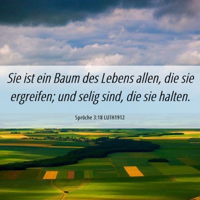 Picture 06 - Sprüche 3:18 LUTH1912 - Sie ist ein Baum des Lebens allen, die sie - Bible Verse Picture