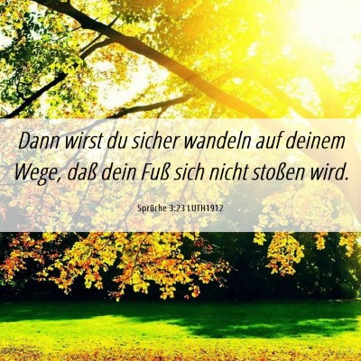 Picture 06 - Sprüche 3:23 LUTH1912 - Dann wirst du sicher wandeln auf deinem Wege, - Bible Verse Picture