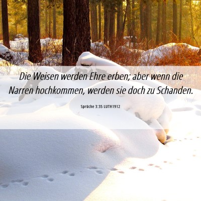 Picture 06 - Sprüche 3:35 LUTH1912 - Die Weisen werden Ehre erben; aber wenn die - Bible Verse Picture