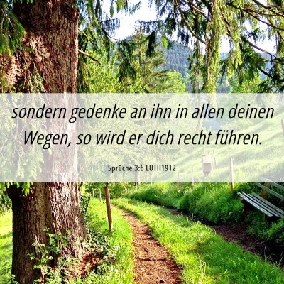 Picture 06 - Sprüche 3:6 LUTH1912 - sondern gedenke an ihn in allen deinen Wegen, so - Bible Verse Picture
