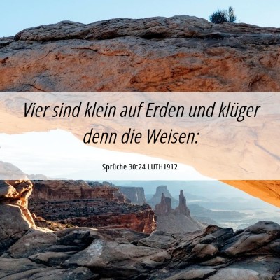 Picture 06 - Sprüche 30:24 LUTH1912 - Vier sind klein auf Erden und klüger denn die - Bible Verse Picture