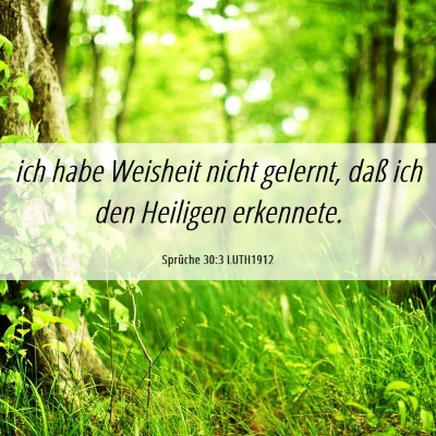 Picture 06 - Sprüche 30:3 LUTH1912 - ich habe Weisheit nicht gelernt, daß ich den - Bible Verse Picture