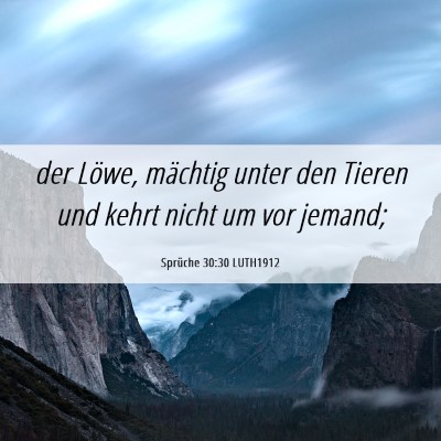 Picture 06 - Sprüche 30:30 LUTH1912 - der Löwe, mächtig unter den Tieren und kehrt - Bible Verse Picture