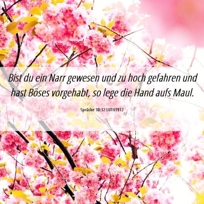 Picture 06 - Sprüche 30:32 LUTH1912 - Bist du ein Narr gewesen und zu hoch gefahren und - Bible Verse Picture
