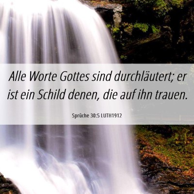 Picture 06 - Sprüche 30:5 LUTH1912 - Alle Worte Gottes sind durchläutert; er ist ein - Bible Verse Picture