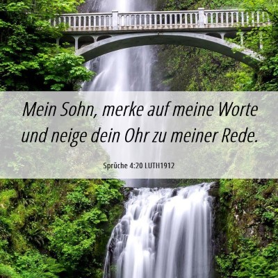 Picture 06 - Sprüche 4:20 LUTH1912 - Mein Sohn, merke auf meine Worte und neige dein - Bible Verse Picture
