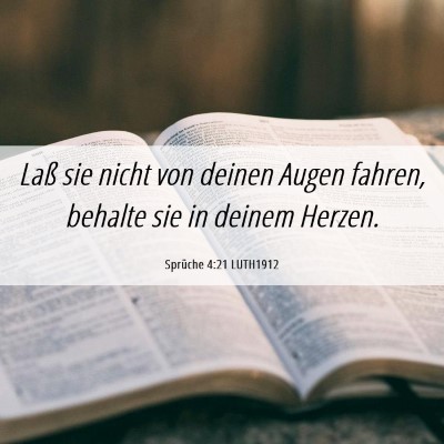 Picture 06 - Sprüche 4:21 LUTH1912 - Laß sie nicht von deinen Augen fahren, behalte - Bible Verse Picture