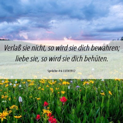 Picture 06 - Sprüche 4:6 LUTH1912 - Verlaß sie nicht, so wird sie dich bewahren; - Bible Verse Picture