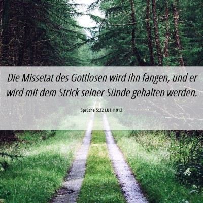 Picture 06 - Sprüche 5:22 LUTH1912 - Die Missetat des Gottlosen wird ihn fangen, und - Bible Verse Picture