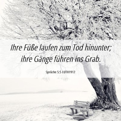 Picture 06 - Sprüche 5:5 LUTH1912 - Ihre Füße laufen zum Tod hinunter; ihre Gänge - Bible Verse Picture