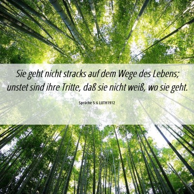 Picture 06 - Sprüche 5:6 LUTH1912 - Sie geht nicht stracks auf dem Wege des Lebens; - Bible Verse Picture
