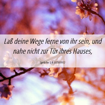Picture 06 - Sprüche 5:8 LUTH1912 - Laß deine Wege ferne von ihr sein, und nahe - Bible Verse Picture