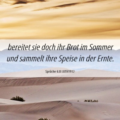 Picture 06 - Sprüche 6:8 LUTH1912 - bereitet sie doch ihr Brot im Sommer und sammelt - Bible Verse Picture