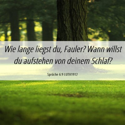 Picture 06 - Sprüche 6:9 LUTH1912 - Wie lange liegst du, Fauler? Wann willst du - Bible Verse Picture