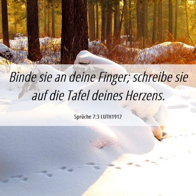 Picture 06 - Sprüche 7:3 LUTH1912 - Binde sie an deine Finger; schreibe sie auf die - Bible Verse Picture