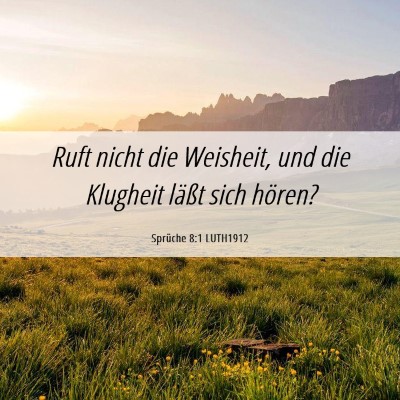 Picture 06 - Sprüche 8:1 LUTH1912 - Ruft nicht die Weisheit, und die Klugheit läßt - Bible Verse Picture
