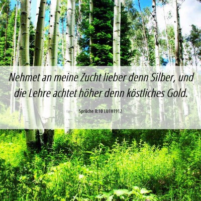 Picture 06 - Sprüche 8:10 LUTH1912 - Nehmet an meine Zucht lieber denn Silber, und die - Bible Verse Picture