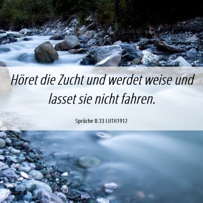 Picture 06 - Sprüche 8:33 LUTH1912 - Höret die Zucht und werdet weise und lasset sie - Bible Verse Picture