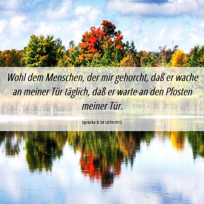 Picture 06 - Sprüche 8:34 LUTH1912 - Wohl dem Menschen, der mir gehorcht, daß er - Bible Verse Picture