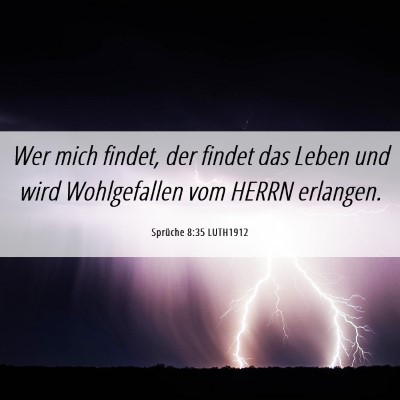 Picture 06 - Sprüche 8:35 LUTH1912 - Wer mich findet, der findet das Leben und wird - Bible Verse Picture
