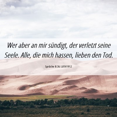 Picture 06 - Sprüche 8:36 LUTH1912 - Wer aber an mir sündigt, der verletzt seine - Bible Verse Picture