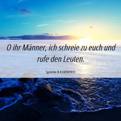 Picture 06 - Sprüche 8:4 LUTH1912 - O ihr Männer, ich schreie zu euch und rufe den - Bible Verse Picture