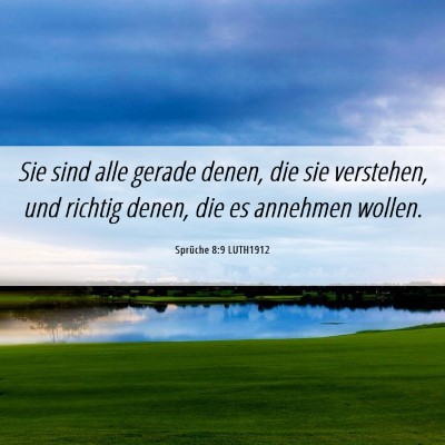 Picture 06 - Sprüche 8:9 LUTH1912 - Sie sind alle gerade denen, die sie verstehen, - Bible Verse Picture