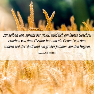 Picture 06 - Zephanja 1:10 LUTH1912 - Zur selben Zeit, spricht der HERR, wird sich ein - Bible Verse Picture