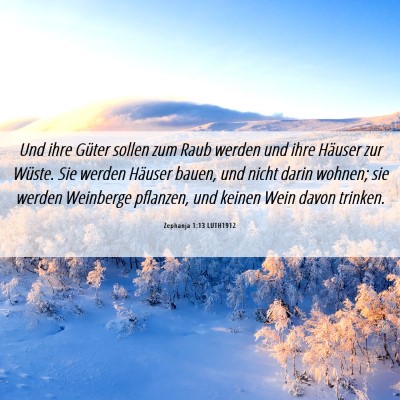 Picture 06 - Zephanja 1:13 LUTH1912 - Und ihre Güter sollen zum Raub werden und ihre - Bible Verse Picture