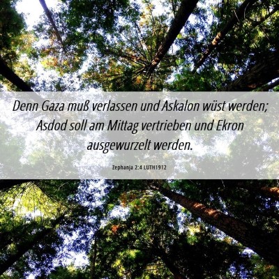 Picture 06 - Zephanja 2:4 LUTH1912 - Denn Gaza muß verlassen und Askalon wüst - Bible Verse Picture
