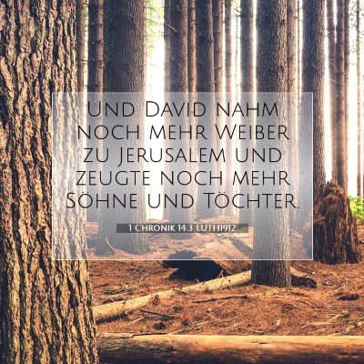 Picture 07 - 1 Chronik 14:3 LUTH1912 - Und David nahm noch mehr Weiber zu Jerusalem und - Bible Verse Picture