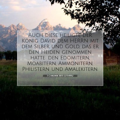 Picture 07 - 1 Chronik 18:11 LUTH1912 - Auch diese heiligte der König David dem HERRN - Bible Verse Picture