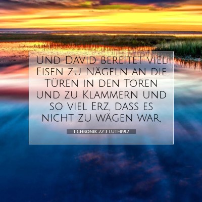 Picture 07 - 1 Chronik 22:3 LUTH1912 - Und David bereitet viel Eisen zu Nägeln an die - Bible Verse Picture