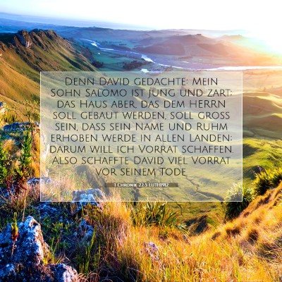 Picture 07 - 1 Chronik 22:5 LUTH1912 - Denn David gedachte: Mein Sohn Salomo ist jung - Bible Verse Picture