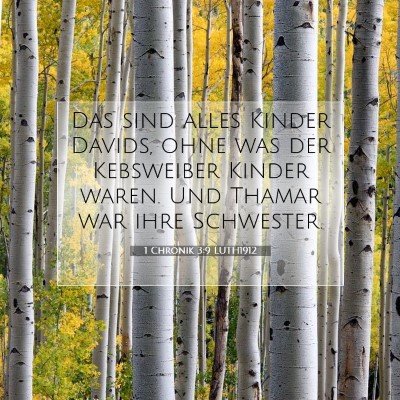 Picture 07 - 1 Chronik 3:9 LUTH1912 - Das sind alles Kinder Davids, ohne was der - Bible Verse Picture
