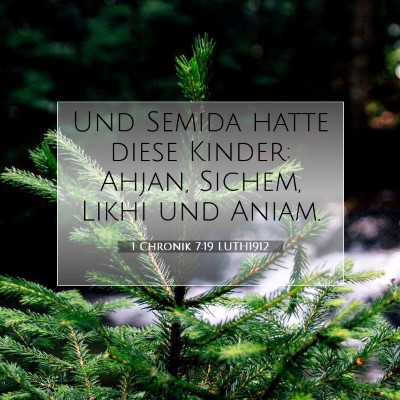 Picture 07 - 1 Chronik 7:19 LUTH1912 - Und Semida hatte diese Kinder: Ahjan, Sichem, - Bible Verse Picture