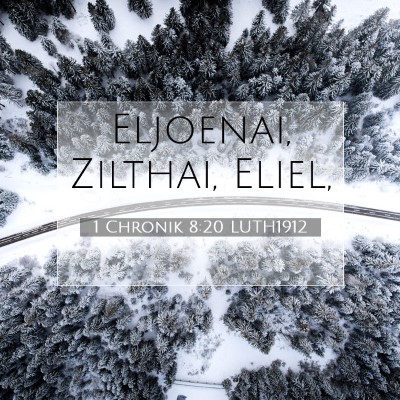 Picture 07 - 1 Chronik 8:20 LUTH1912 - Eljoenai, Zilthai, - Bible Verse Picture