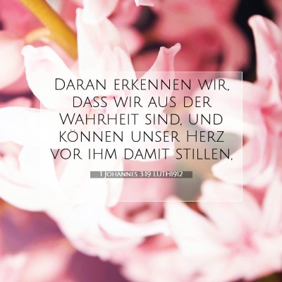 Picture 07 - 1 Johannes 3:19 LUTH1912 - Daran erkennen wir, daß wir aus der Wahrheit - Bible Verse Picture