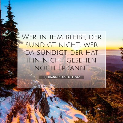 Picture 07 - 1 Johannes 3:6 LUTH1912 - Wer in ihm bleibt, der sündigt nicht; wer da - Bible Verse Picture