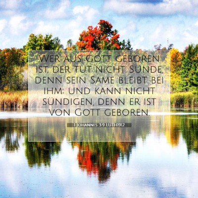 Picture 07 - 1 Johannes 3:9 LUTH1912 - Wer aus Gott geboren ist, der tut nicht Sünde, - Bible Verse Picture