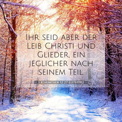 Picture 07 - 1 Korinther 12:27 LUTH1912 - Ihr seid aber der Leib Christi und Glieder, ein - Bible Verse Picture
