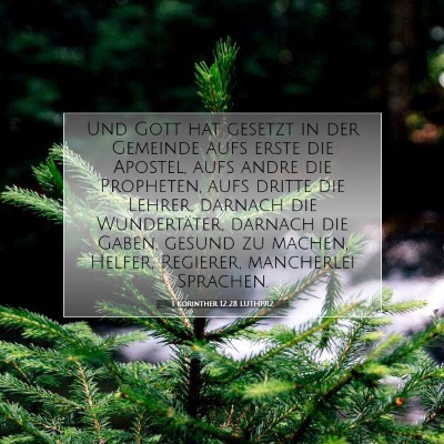 Picture 07 - 1 Korinther 12:28 LUTH1912 - Und Gott hat gesetzt in der Gemeinde aufs erste - Bible Verse Picture
