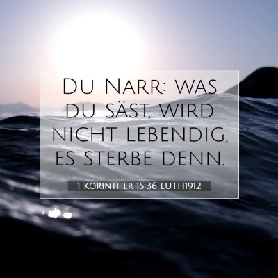 Picture 07 - 1 Korinther 15:36 LUTH1912 - Du Narr: was du säst, wird nicht lebendig, es - Bible Verse Picture